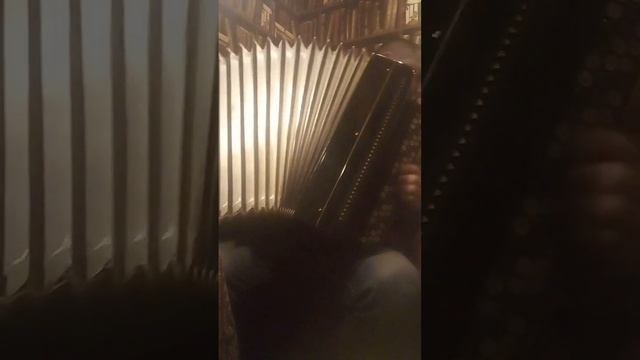 баян Ясная поляна