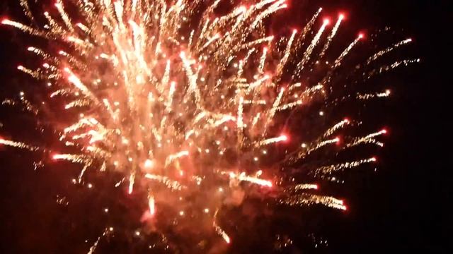 PANASONIC LUMIX TZ20 FULL HDI TEST 1080 I