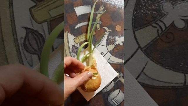 это - жизнь!