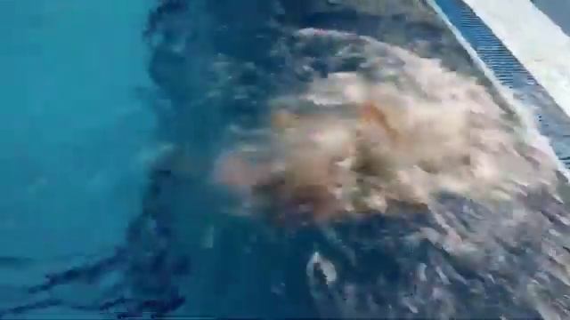 Swimx, школа плавания