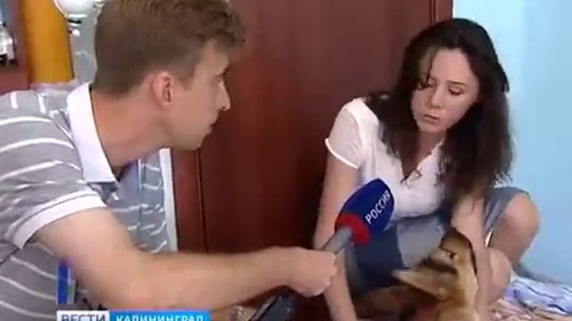 Ветеринарная клиника KönigVet