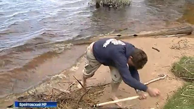 В Брейтовском районе активисты очистили от мусора дно и берег Рыбинского водохранилища