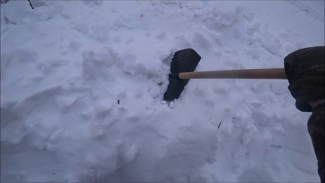 Бросил снегоход  в лесу на три дня .Не смог выехать из леса.Выползаю ползком.Едем на тайге 550V