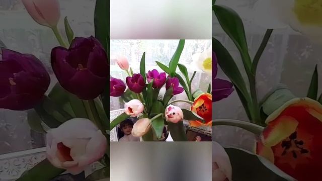 Смотреть видео онлайн