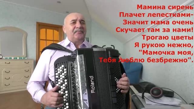 Мамина сирень