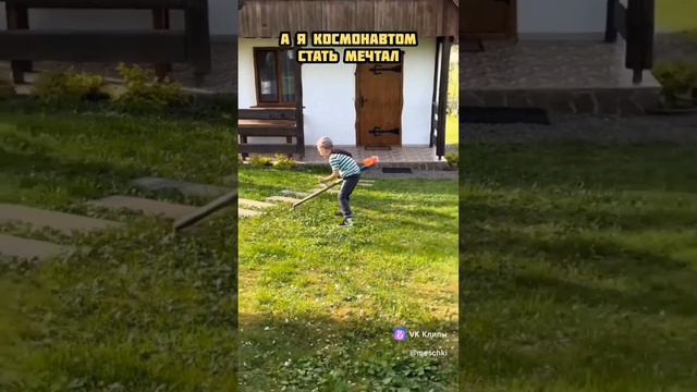 газонокосильщик
