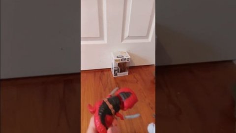 I opened these funky pops a few months ago to start my collection