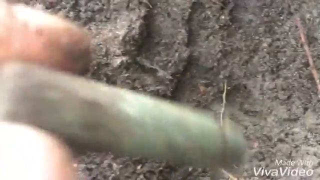 Metal Detecting