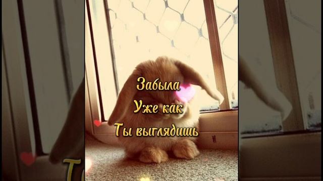 Любовь