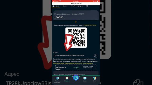 #GigaMax Пополнения Баланса кабинета