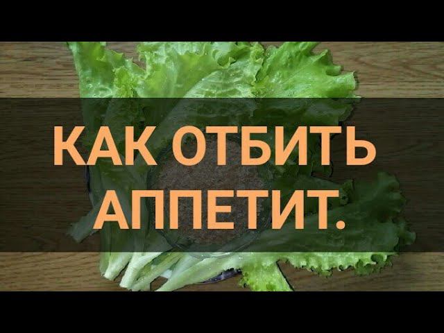 Как отбить Аппетит. Самый простой и сытный способ. Жуй и худей. Канал Тутси.