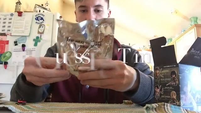 Attack on Titan Vinyl Figure Unboxing