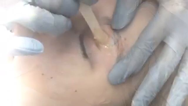 Авторский курс Sugar Brows от Кати Бостон