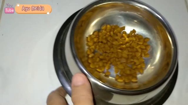 Tips Mengatasi Kucing Diare / Pup Kucing Lembek