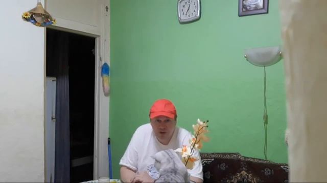 552. Ночь накануне диеты.