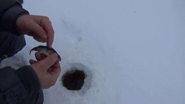 Озеро Хоринское | Рыбалка