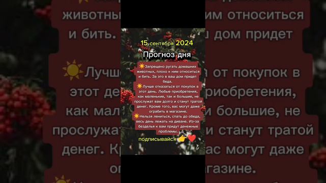 Прогноз дня на 15 сентября 2024