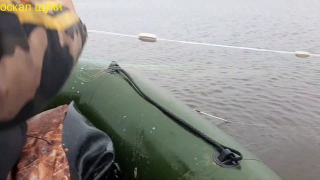 Рыбалкапроверка сети  Щукасиг