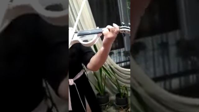 Наталья Соколова скрипка
