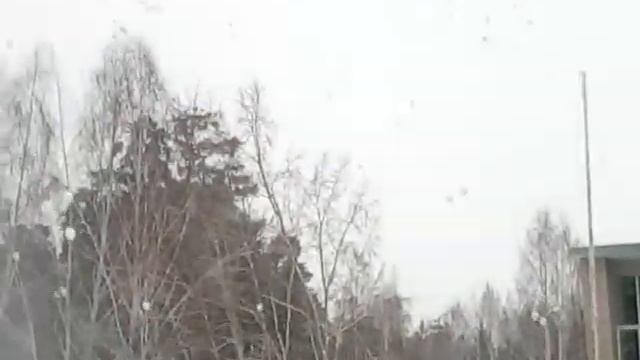 25.03.2018 г. Кемерово.