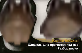 Жабы играют 