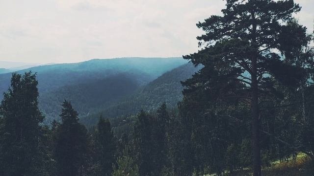 Бобровый лог. Красноярск
