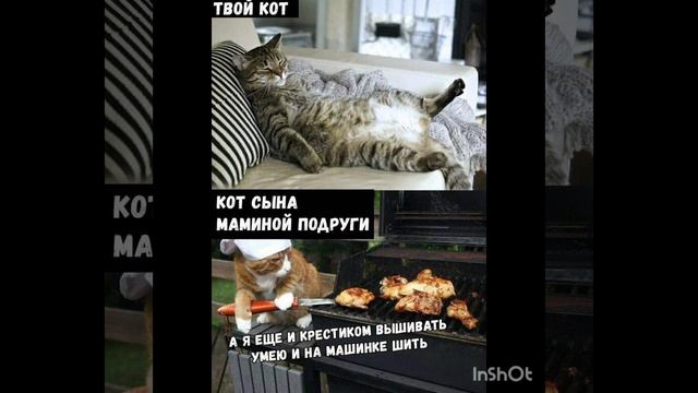 #мемы#жиза#жизнено#