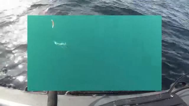 Весенний лов трески на Баренцевом море  Spring cod fishing in the Barents seaHD 2019