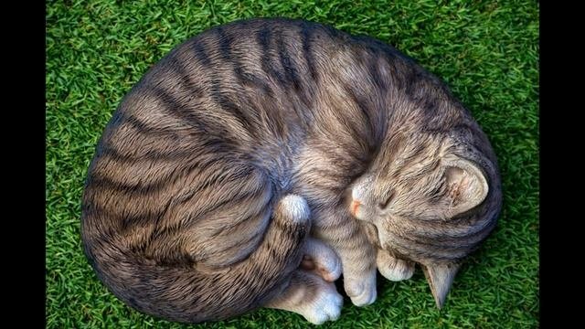Музыка для сна без рекламы и слов Music for sleep without ads and words