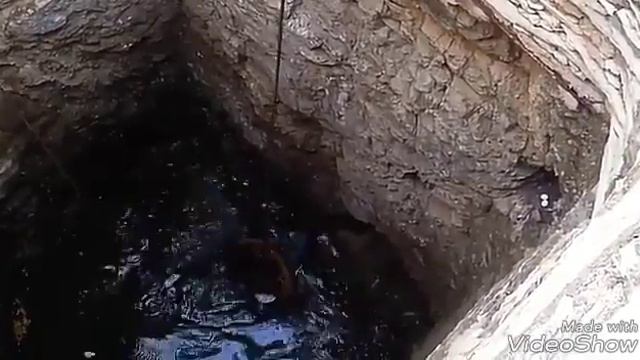 Спасение собаки! Из ямы с водой!