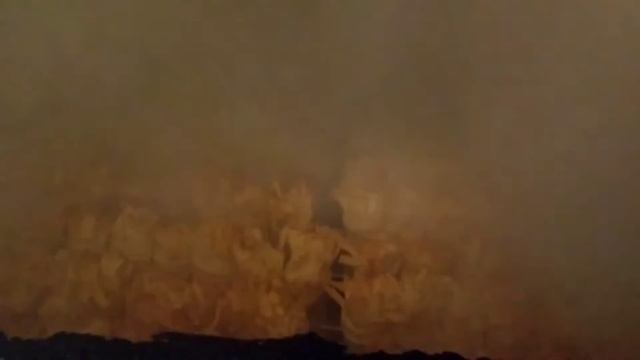 Копчение на буковой стружке сыра косички и соломки на основе сыра сулугуни.