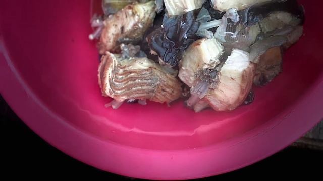 Уха из Стерлядки от #Сазанбузан