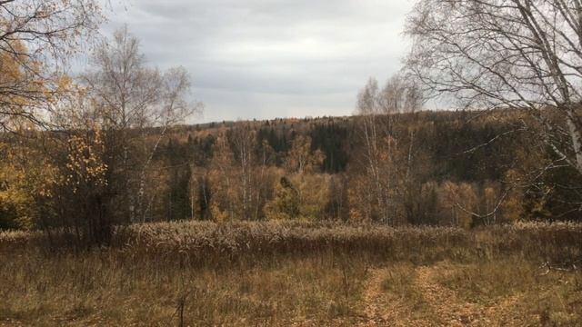 Молебка: место силы в аномальной зоне Перми. Со сталкером на вездеходах, на аэробоботах роза ветров