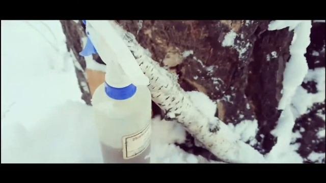ОХОТА НА КУНИЦУ:КУНИЧКА ПРОДОЛЖАЕТ РАДОВАТЬ !