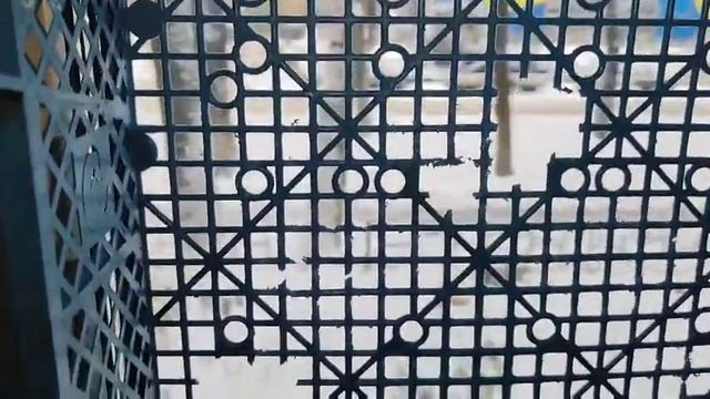 Хорошо спите по ночам? Приобретите ребенку хомячка!!!!??????????