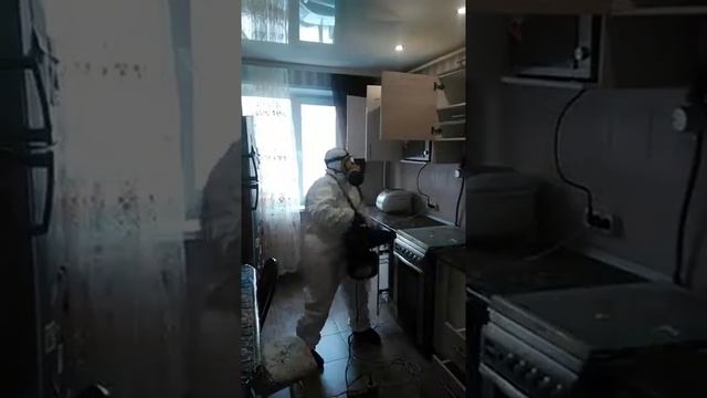 Обработка от тараканов холодным туманом Дезинсекция от тараканов