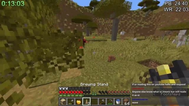 Minecraft 1.14 Speedrun In 22:16 | Random Seed Glitchless Any%