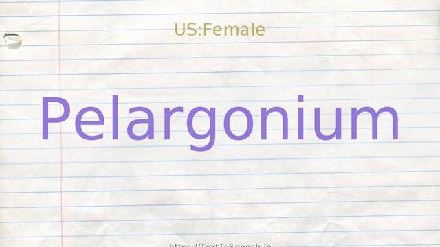 How To Pronounce Pelargonium
