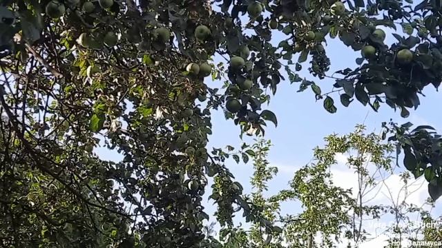 ЯСНОВИДЯЩИЙ ИЗ БУРЯТИИ | ПРЕДСКАЗАНИЯ БАРНАХШЭ БАЛТАХАНОВА