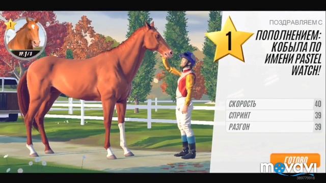RIVAL STARS HORSE RACING ПЕРВЫЙ ЗАПУСК И ВПЕЧАТЛЕНИЯ. НОВЫЕ ИГРЫ