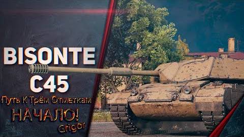 Bisonte C45