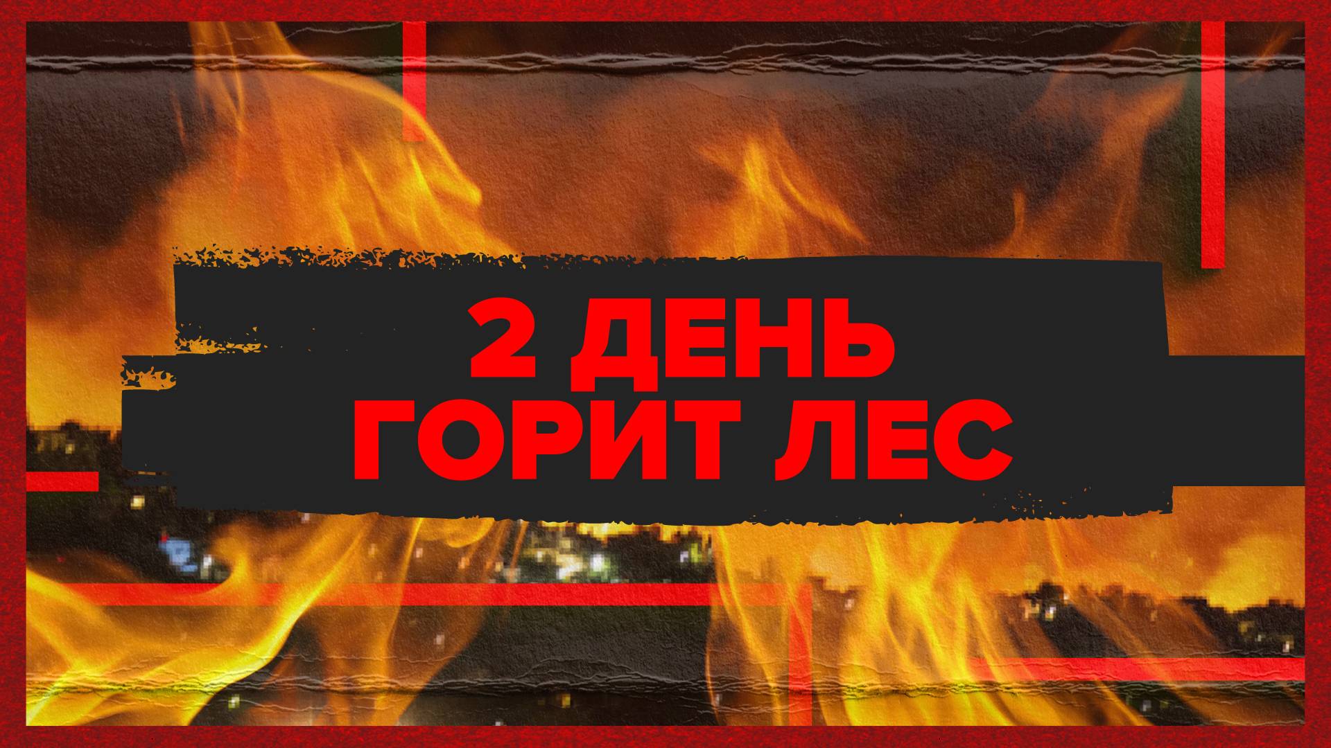 Горит 62 Га земли. Кто и как тушит лесной пожар под Новороссийском?