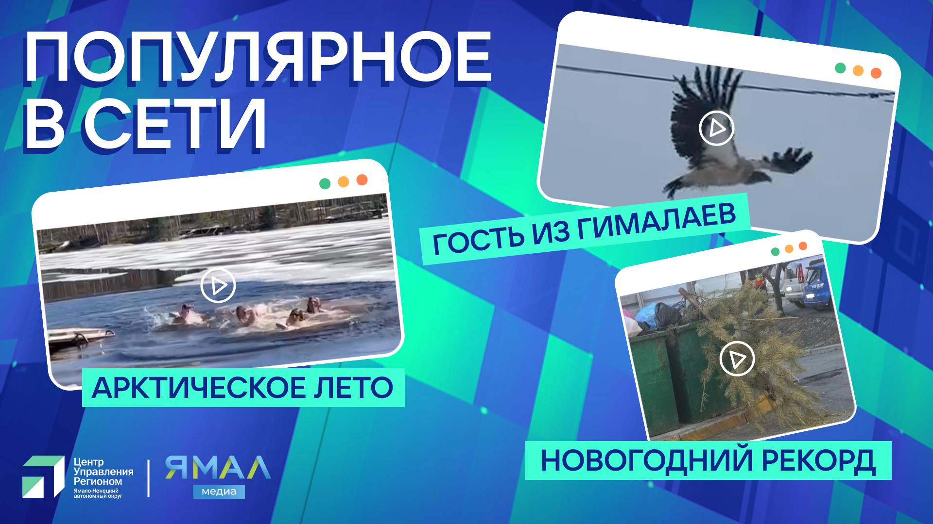 Ямал-Медиа продолжает составлять топ-3 популярных видео на просторах интернета