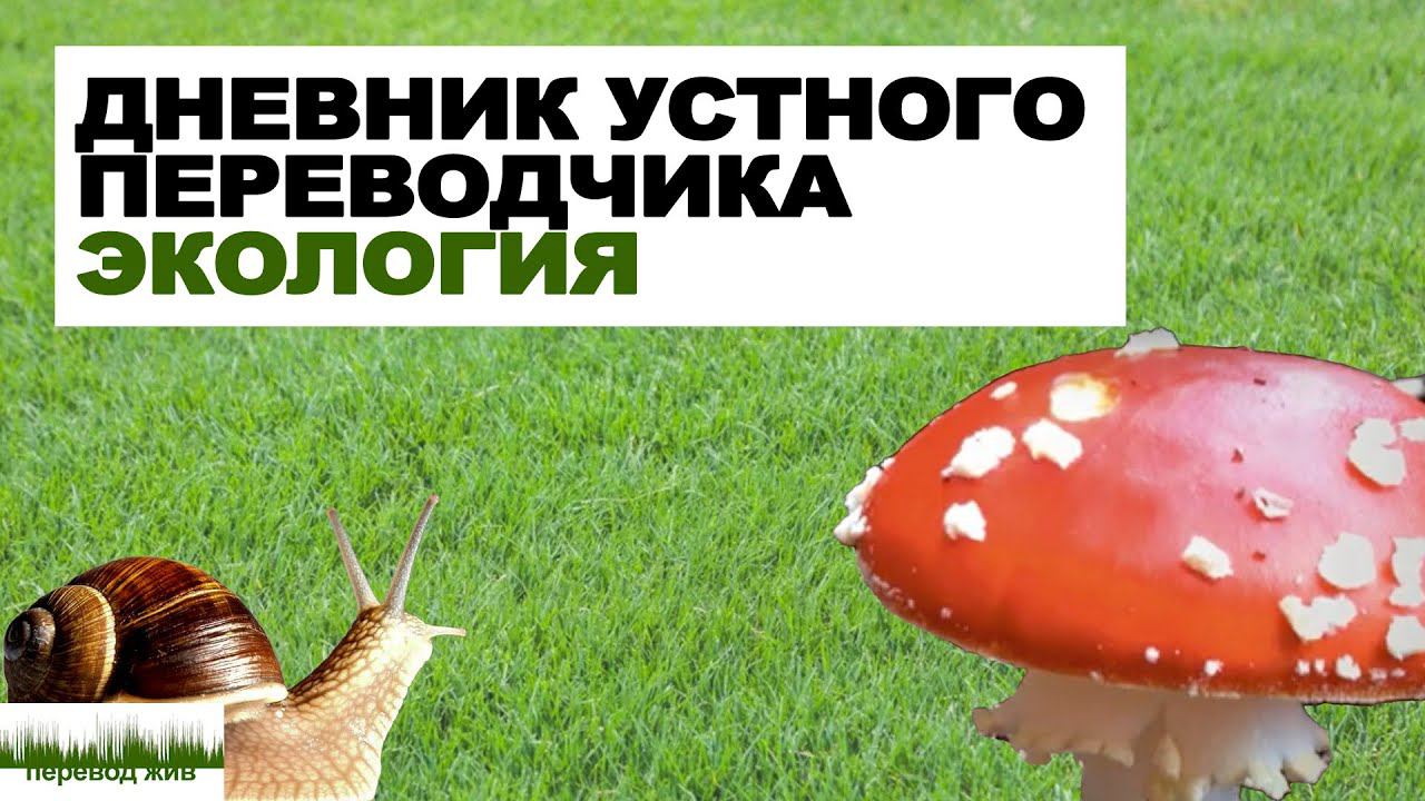 Дневник устного переводчика. Экология