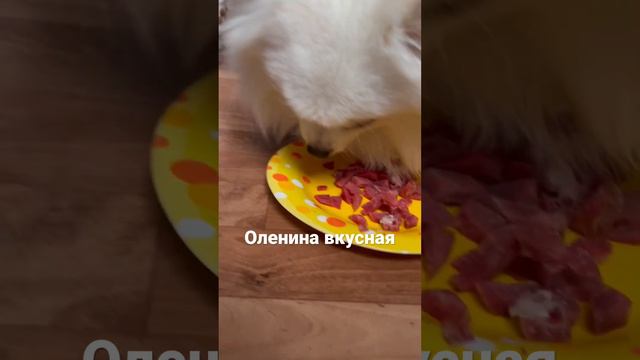 Вкусная оленина.#рационпитания