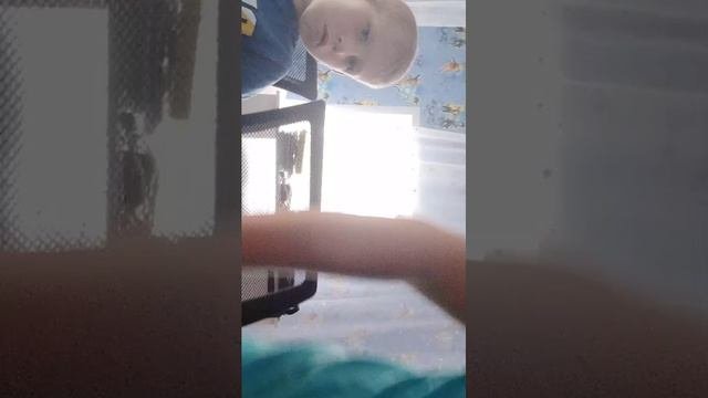 общяемся