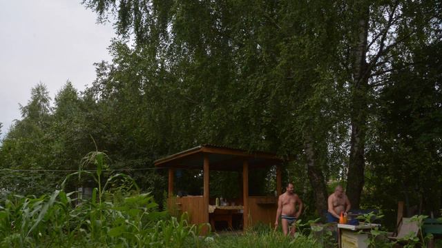 Дача-лето