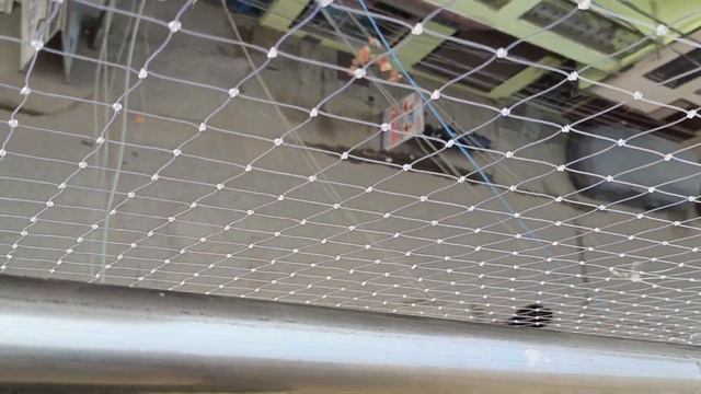 Anti Bird Net Installation | Balcony Safety Net | Transparent Net |  Installation and Price