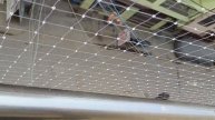 Anti Bird Net Installation | Balcony Safety Net | Transparent Net | Installation and Price