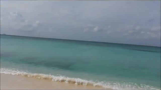 7 Mile Beach and Turtle Soup